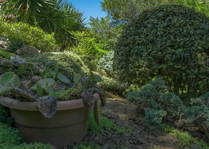 Aparthotel Bendita Mare Golden Sands